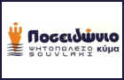 Λογότυπο του καταστήματος ΠΟΣΕΙΔΩΝΙΟ ΚΥΜΑ